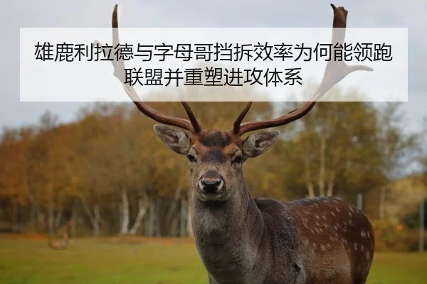 雄鹿利拉德与字母哥挡拆效率为何能领跑联盟并重塑进攻体系