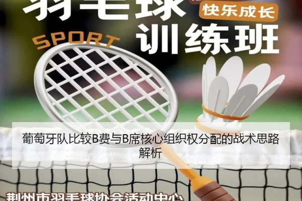 葡萄牙队比较B费与B席核心组织权分配的战术思路解析